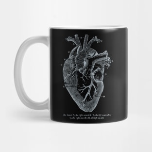 Parts of Heart' Cardiology Parts of the Heart Mug